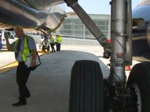 Inspecciones SANA y SAFA